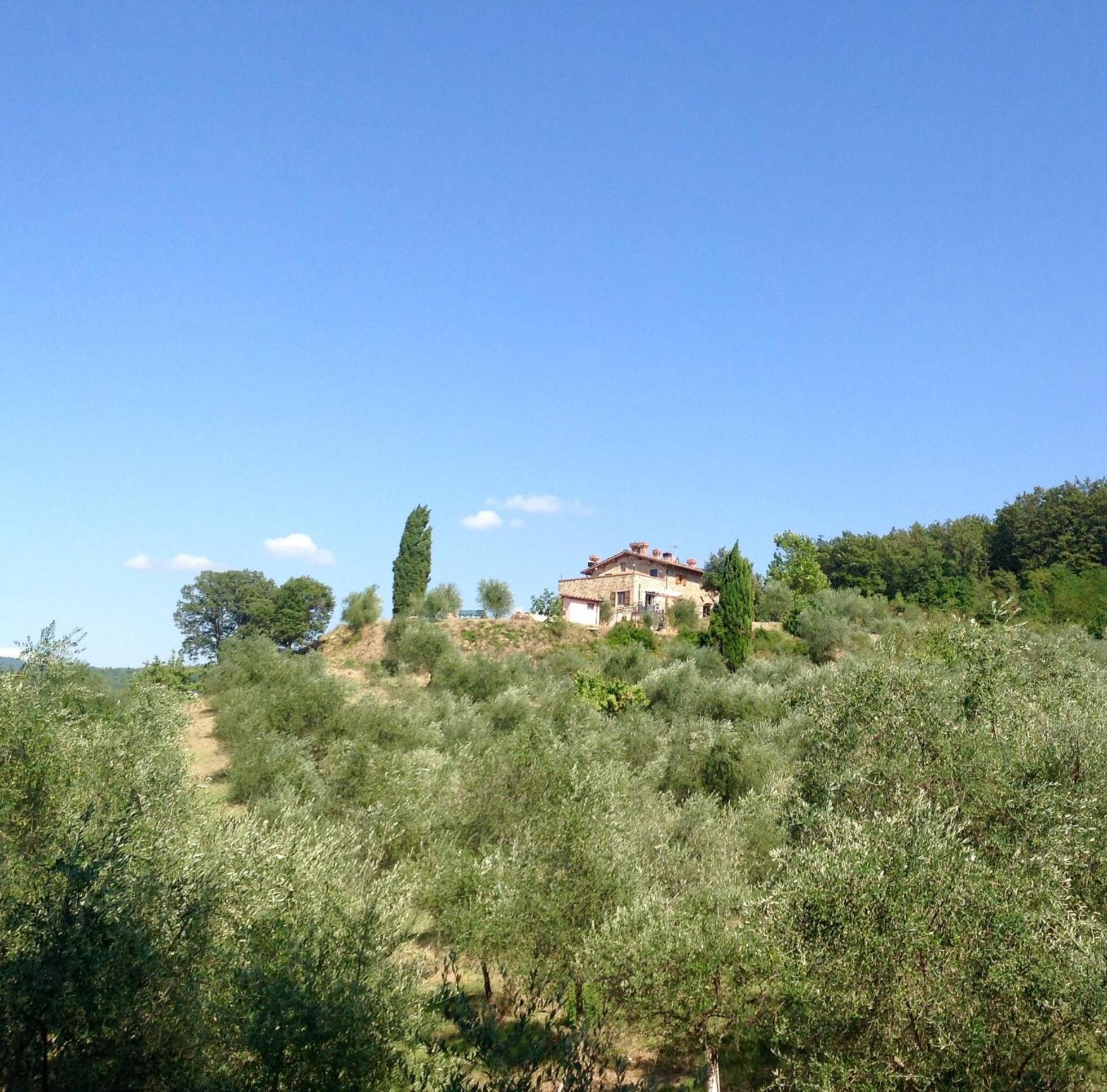 Agriturismo Prato Barone Rufina Exteriér fotografie