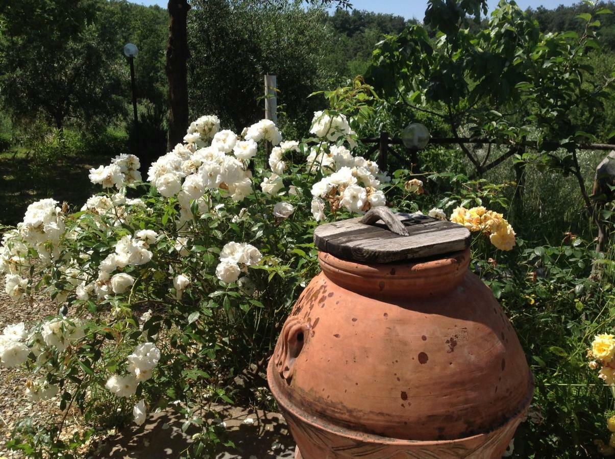 Agriturismo Prato Barone Rufina Exteriér fotografie