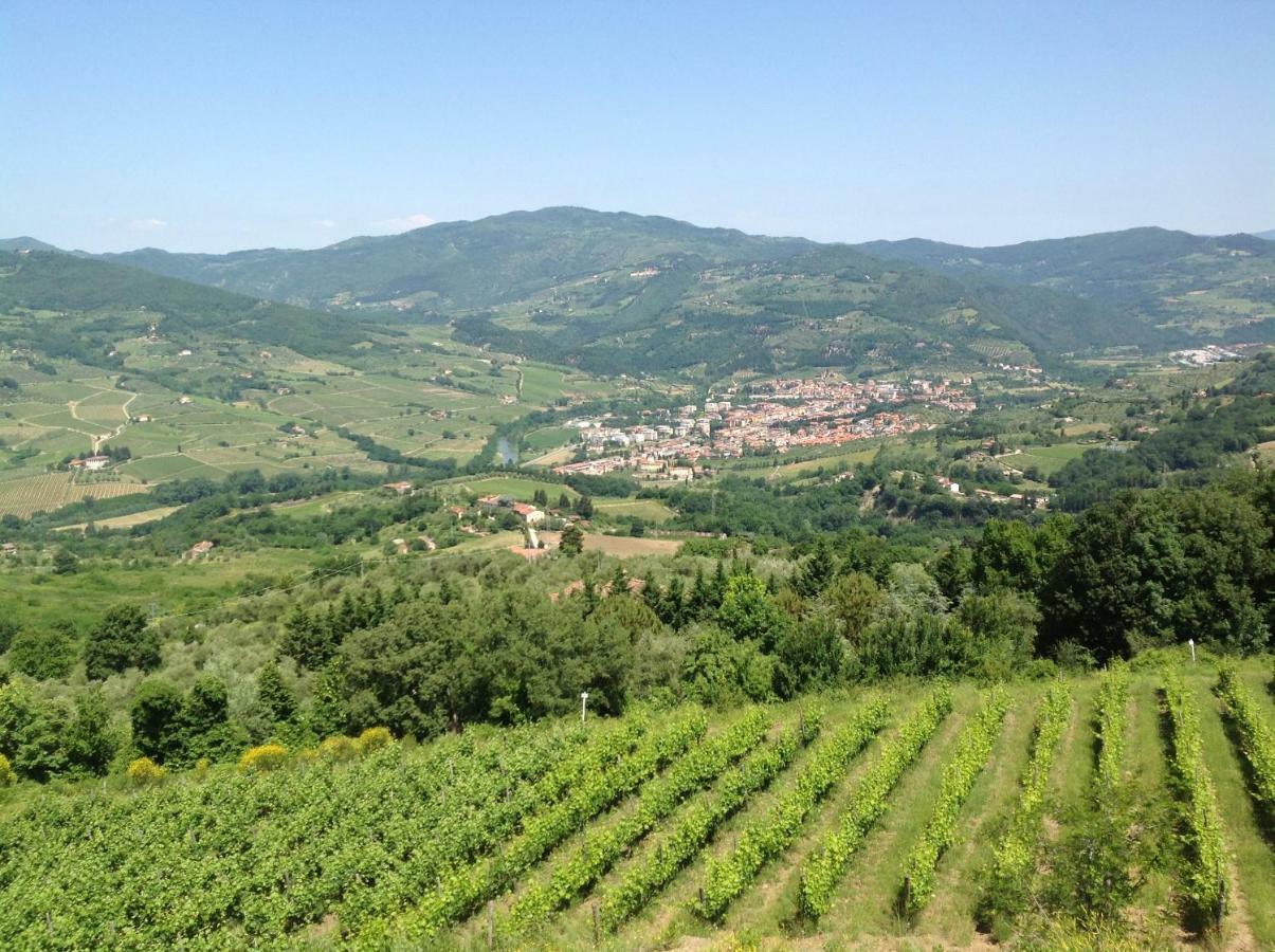 Agriturismo Prato Barone Rufina Exteriér fotografie