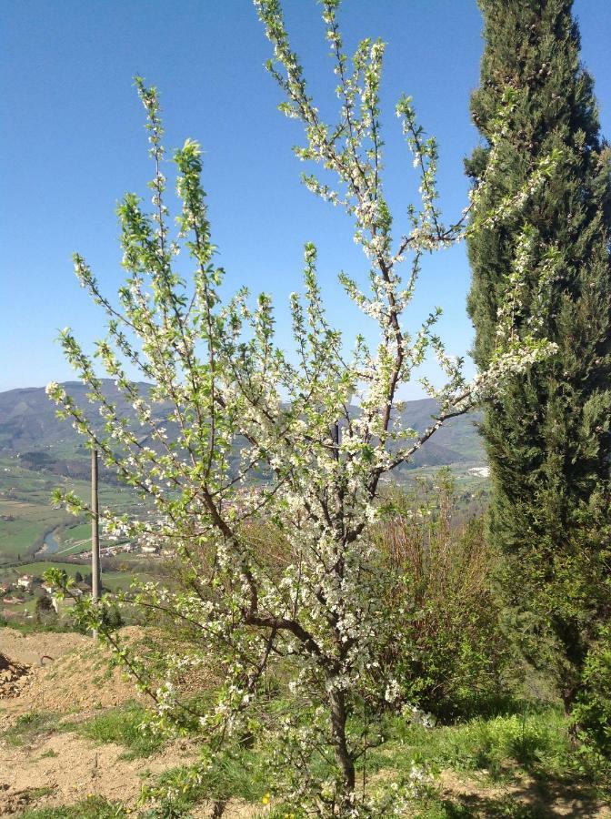 Agriturismo Prato Barone Rufina Exteriér fotografie